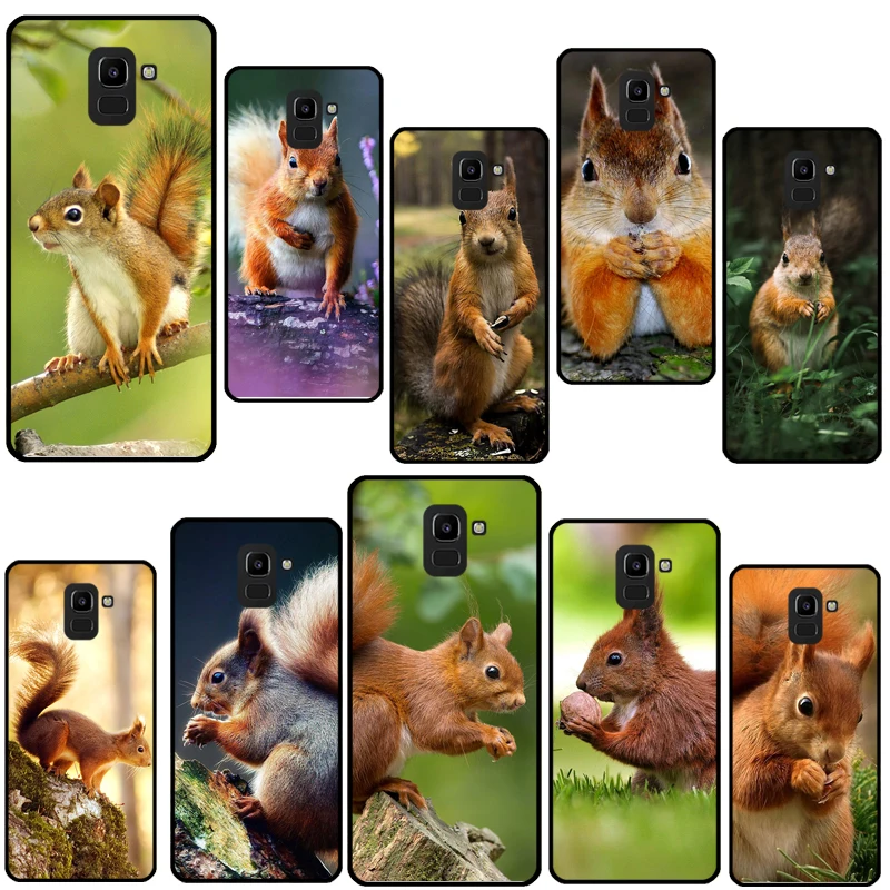 Squirrel For Samsun… - image