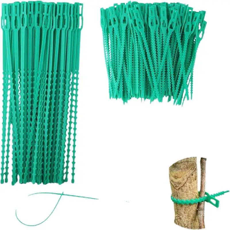 Garden Plant Shrub Support Fasteners Adjustable Reusable Nylon Locking Ties for Orchard Vine Tree Fixing Use