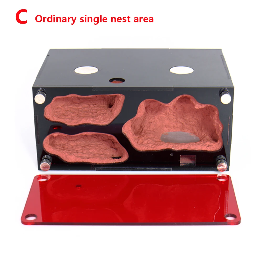 Acryl Mier Boerderij Temperatuurregeling Beton Mier Nest Oneindige Uitbreiding Insect Huis Kolonie Drinker Anthill Kit Accessoires - afbeelding 1