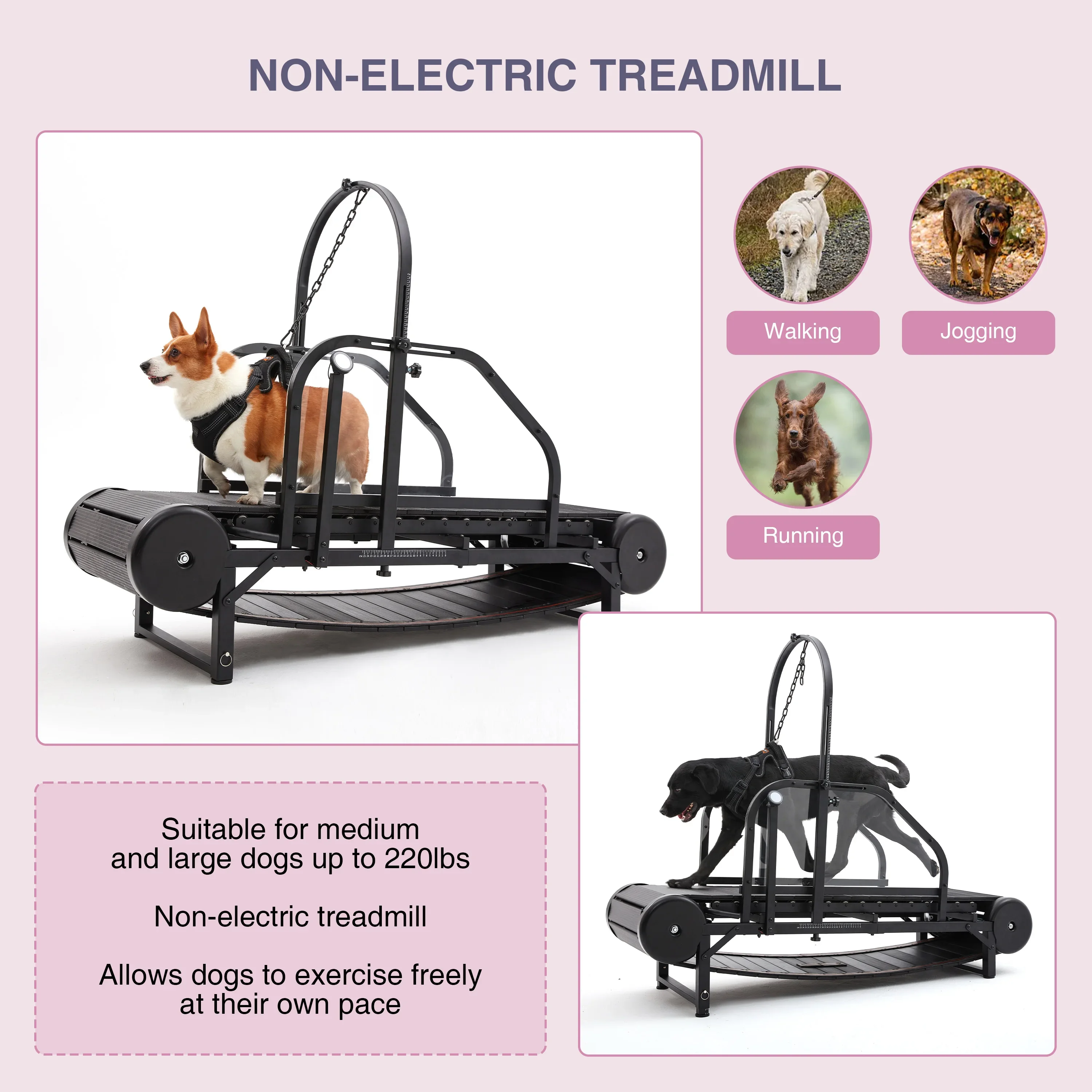 High Quality Pet Fitness Equipment USA STOCK Animal Exercise Training Treadmill Device Pet Dogs Walking Running Machine