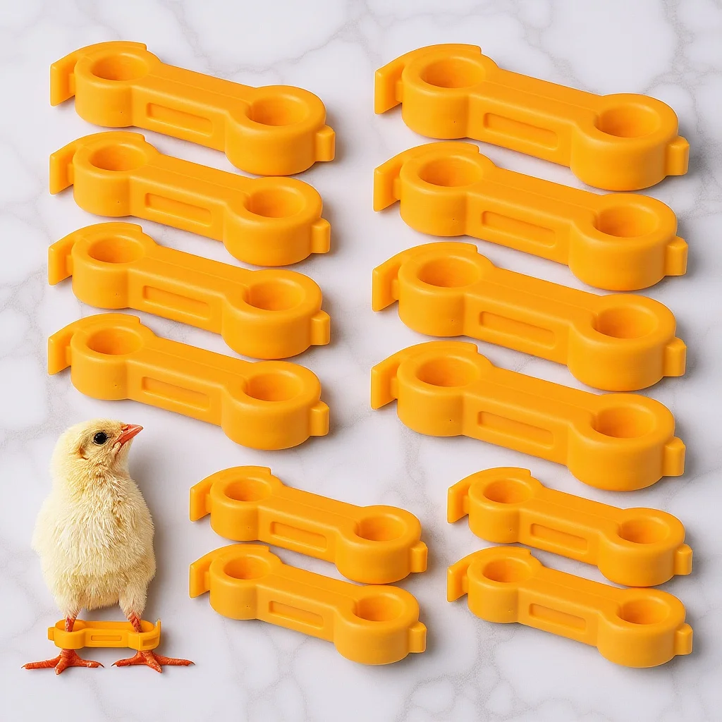 12Pcs Chick Splay Leg Stabilizer Bird Leg Brace Correction Hobble Band Support Device Chicken Supplies for Your Chickens