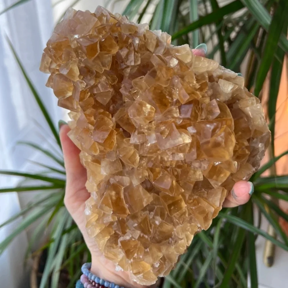 1 pieza de racimo de citrino grande de alta calidad con estructura tipo flor de calcita, cuarzo citrino, cristal translúcido dorado
