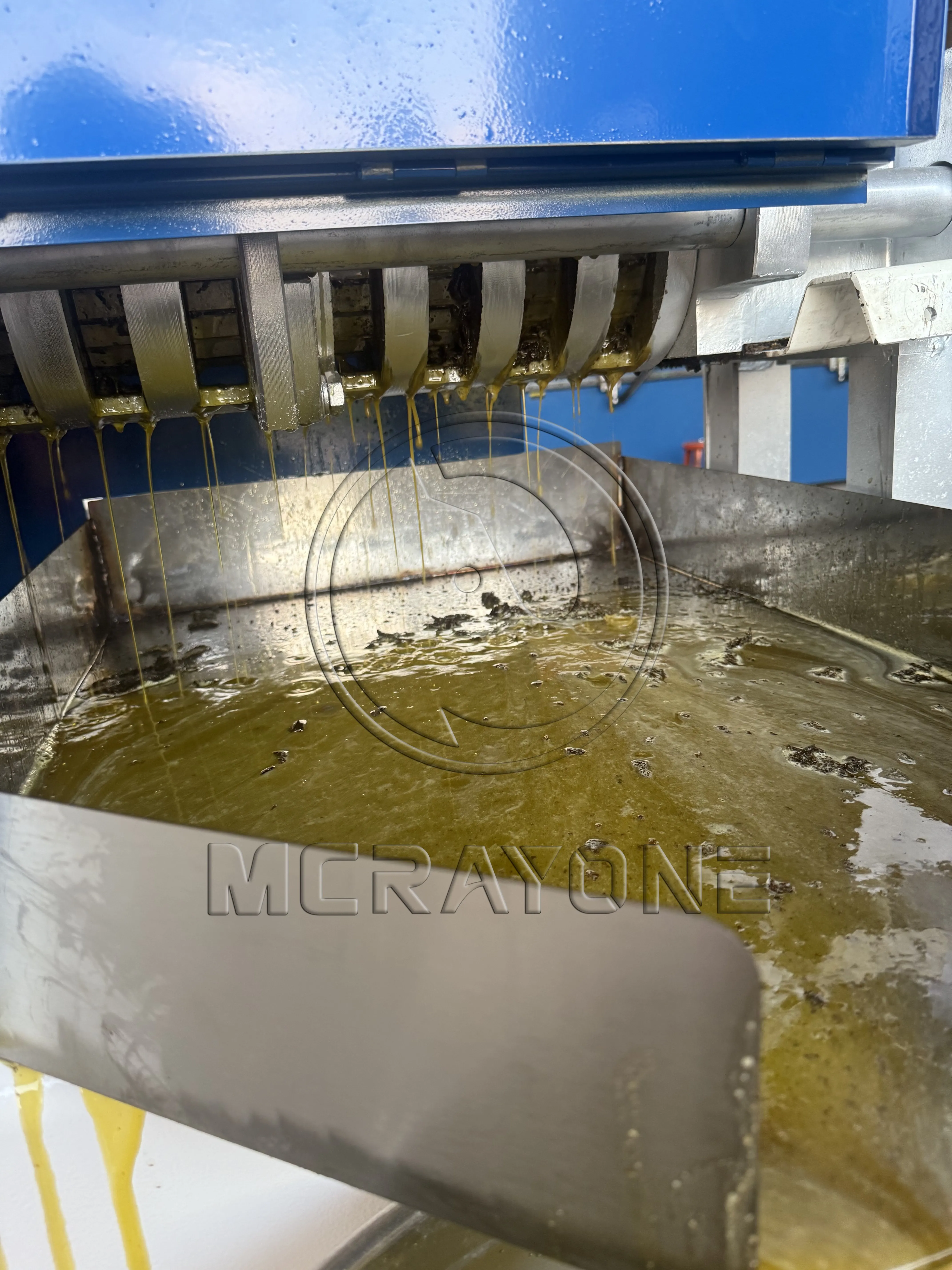 Oliezaad Extractie Schroef Koude Pers Olie Machine Sojaolie Extractie Machine