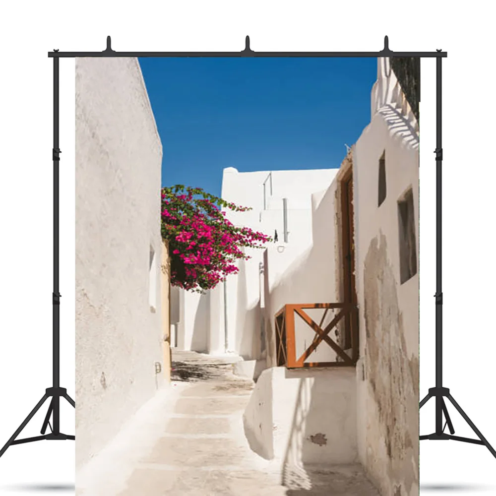 XC-09พื้นหลังสำหรับถ่ายภาพปาร์ตี้วันหยุดทะเลกรีกซานโตรินีดอกไม้สถาปัตยกรรมเมืองเบย์