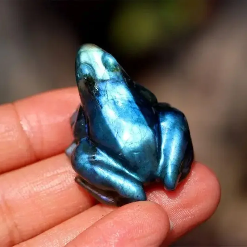 

1.4" Natural Labradorite Carved Frog Blue Flashy Labradorite Frog Frog Carving Riki Healing Home Decor Crystal Gift 1PC