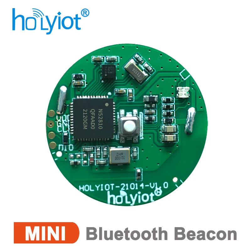 Holyiot nRF52810 accéléromètre 3 axes balise Bluetooth BLE 5.0 Module Bluetooth faible consommation d'énergie positionnement intérieur ibalise