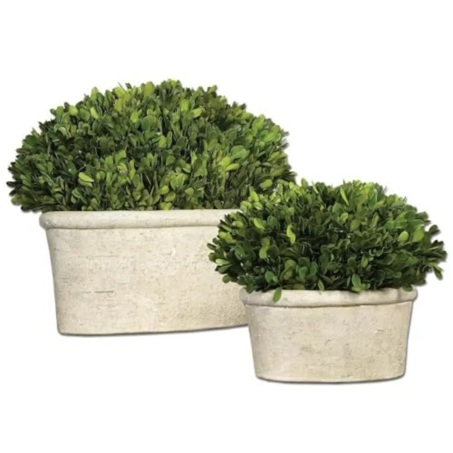 

Oval Domes Preserved Boxwood for Home Decor, Natural Green, Realistic Texture and Long-Lasting Freshness Set of 2