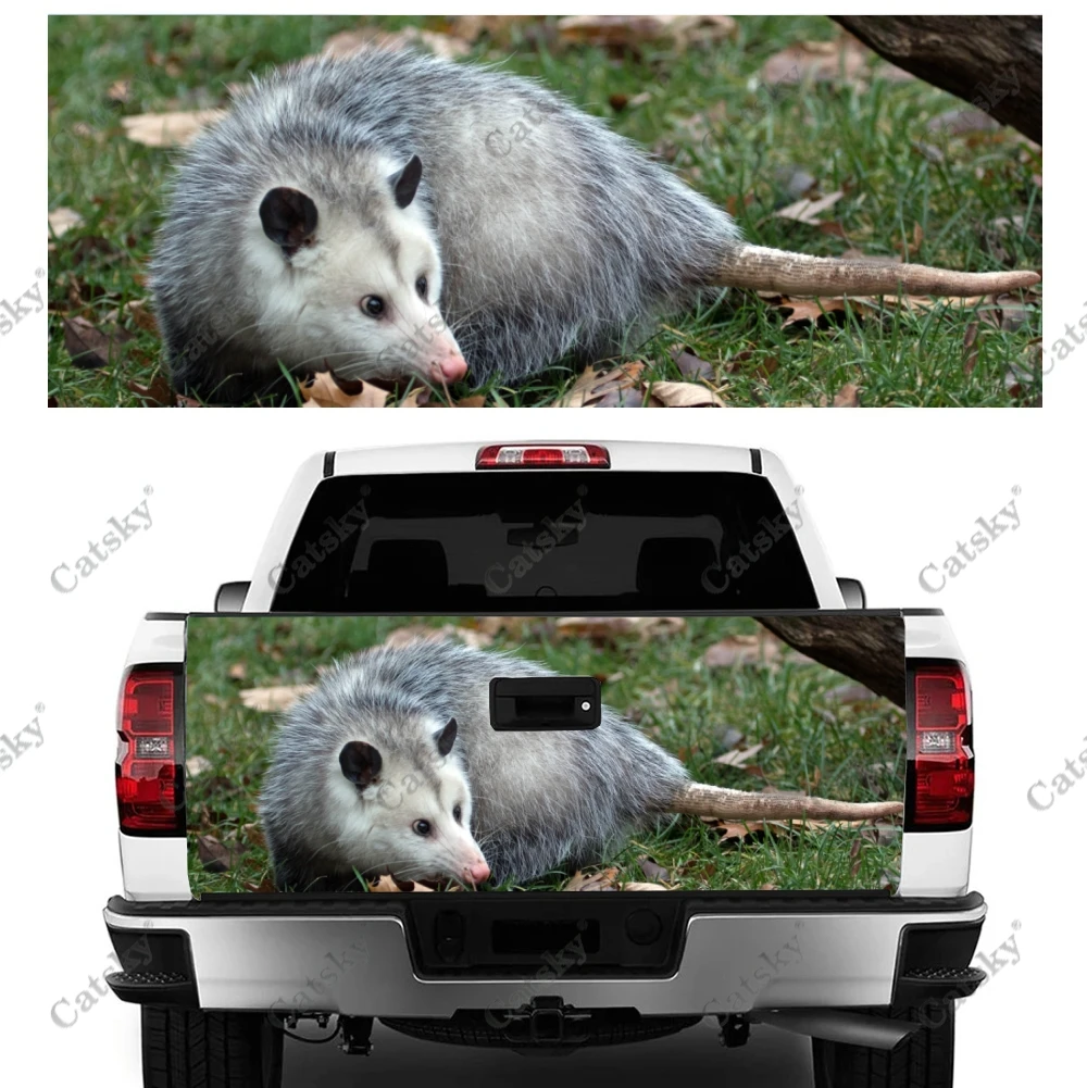 opossum animal Car sticker rear appearance modification package suitable for accessories universal decals