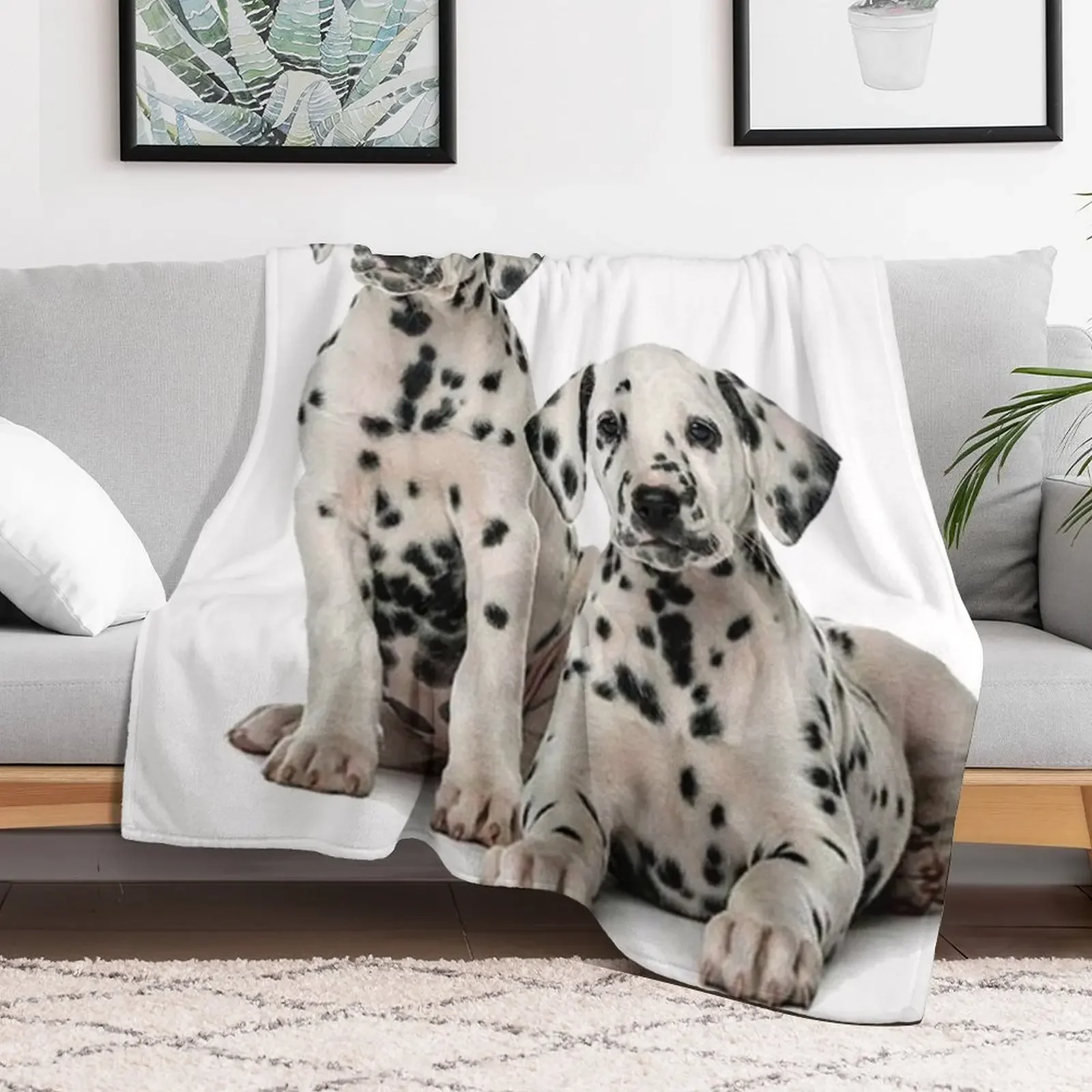 New Dalmatian Puppies - 101 Dogs Throw Blanket Multi Use Warm Blanket for Living Room Bedroom
