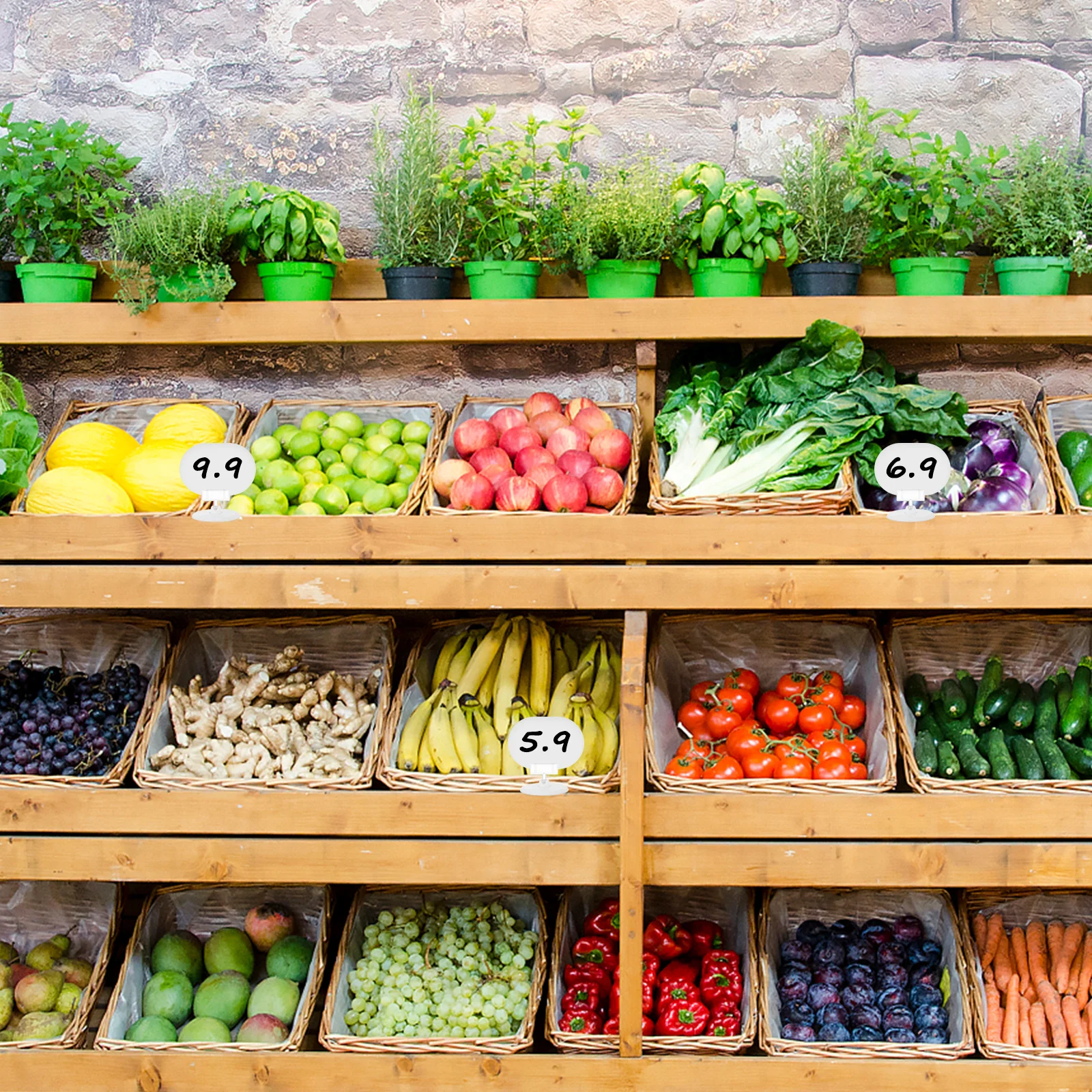 

10pcs Plastic Insert Card Disk Clips Label Display Stand For Price Tag Holder Advertising Board Sign Retail Shop