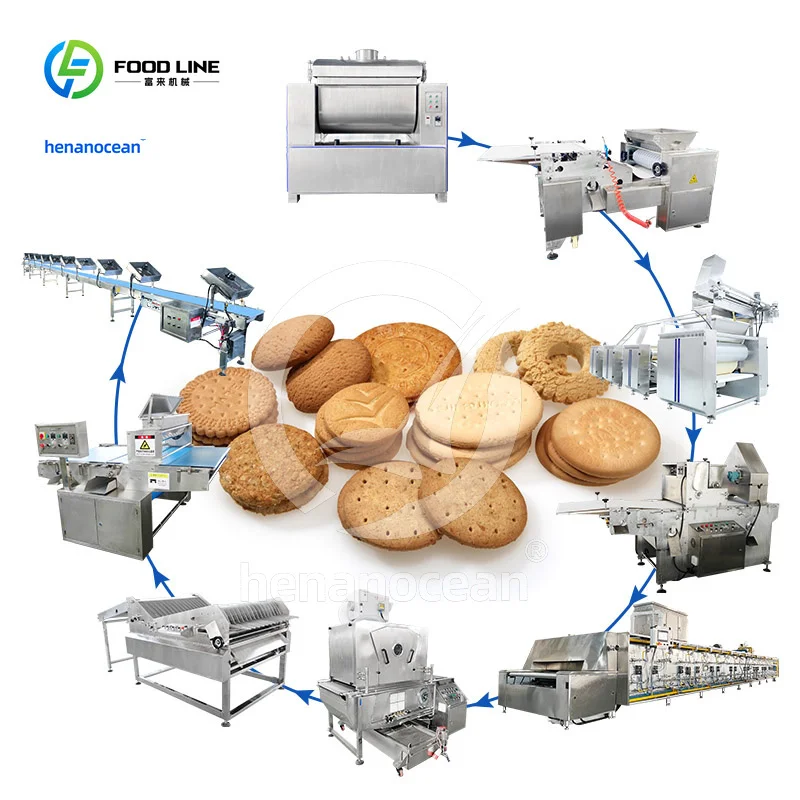 Máquina automática para hacer galletas, planta de fabricación, precio de línea de producción de galletas Hello Panda a pequeña escala
