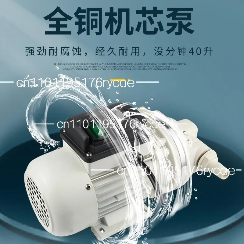 12V24V 220V chemical urea pump, vehicle urea filling pump, diaphragm pump corrosion resistance