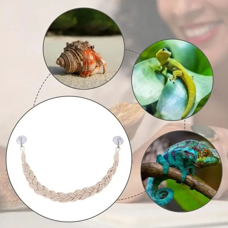 Jaszczurki hamak krab pustelnik hamak wspinaczka jaszczurka leżak wspinaczka huśtawka pustelnik krab wspinaczka juta liny drabina gad zabawki — zdjęcie 5