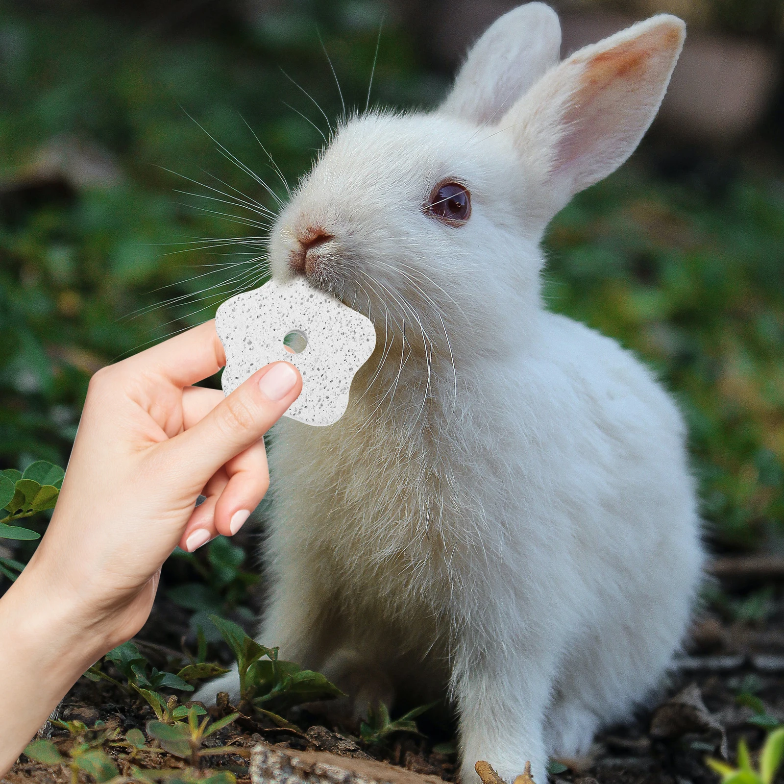 

10pcs Molar Stones For Pets Hamster Rabbit Guinea Pig Chew Teeth Grinding Volcanic Rock Small Animal Dental Care Treats