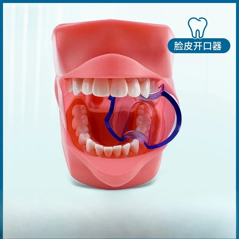 28 Preparation of teeth Facial skin opener Dental materials Oral materials Dental tools Oral support Flare