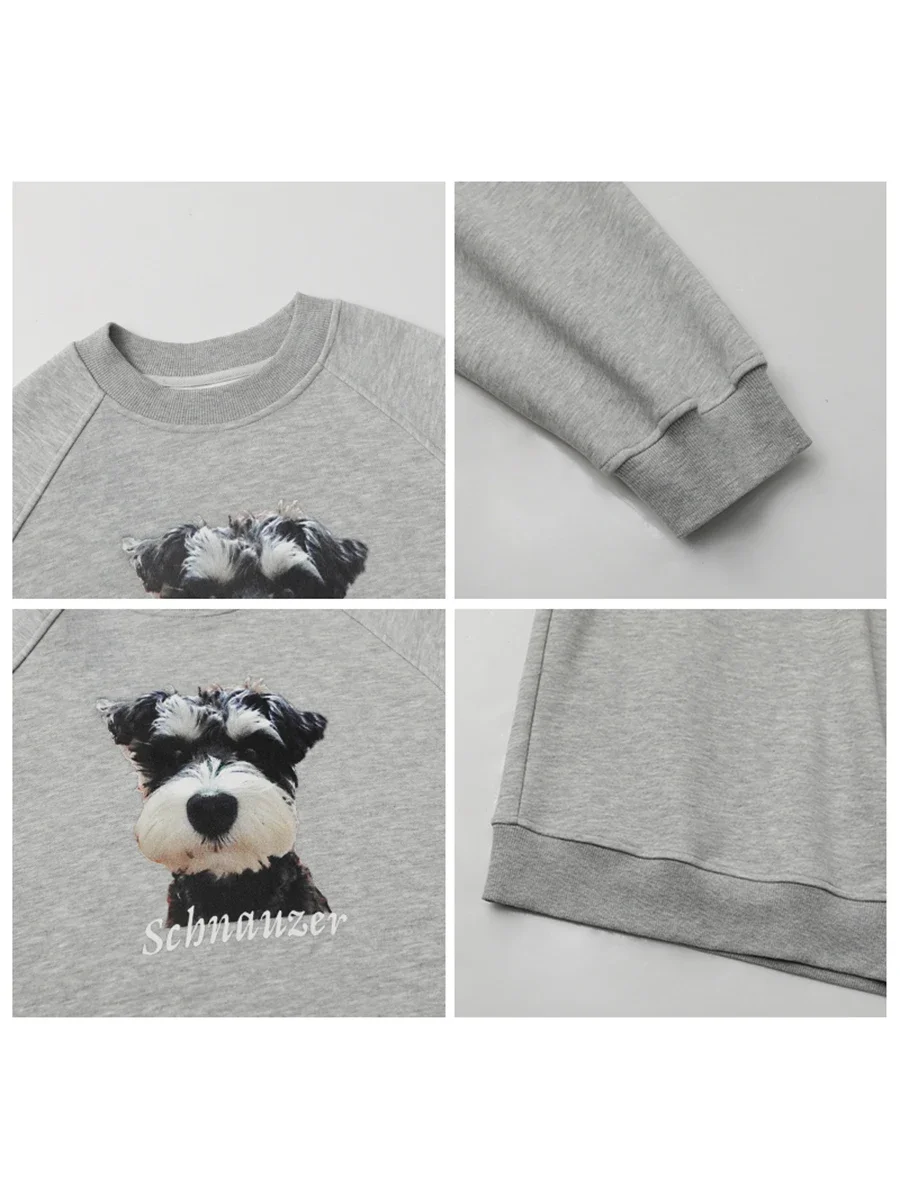 CHIC VEN Korean Women Sweatshirts New Round Neck Puppy Printed Loose Pullover Raglan Sleeve Female Top Spring Autumn 2024