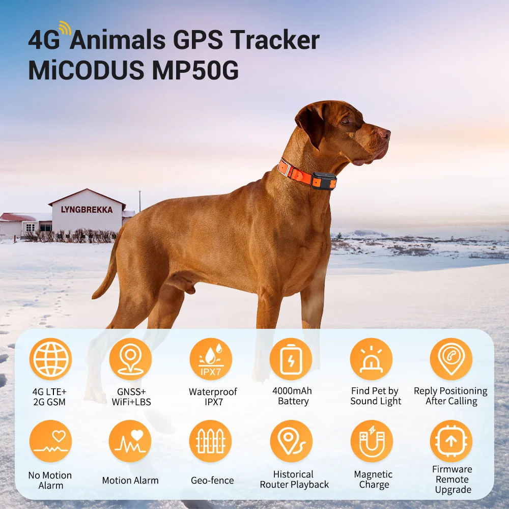 MiCODUS 4G Dog GPS Tracker Real TimeTracking Device MP50G 4000mAh Waterproof IPX7 Light and Voice Tracking Collar GPS Tracker