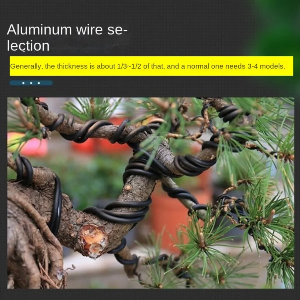 Black Aluminum Bonsai Wire 1/1.5/2/2.5/3mm Garden Bonsai Shape Bonsai Training Wire 5/10M Plant Support Garden Accessories