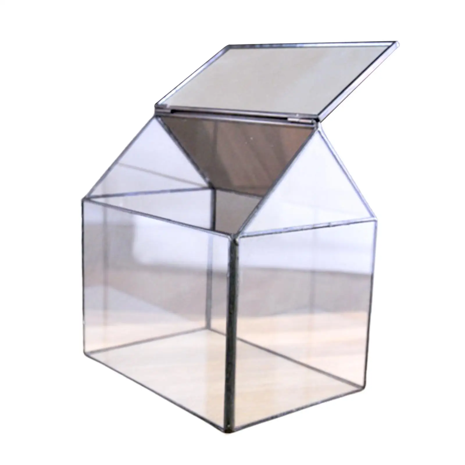 House Shape Clear Glass Geometric Terrarium Box Tabletop Succulent Plant Planter Fern Moss