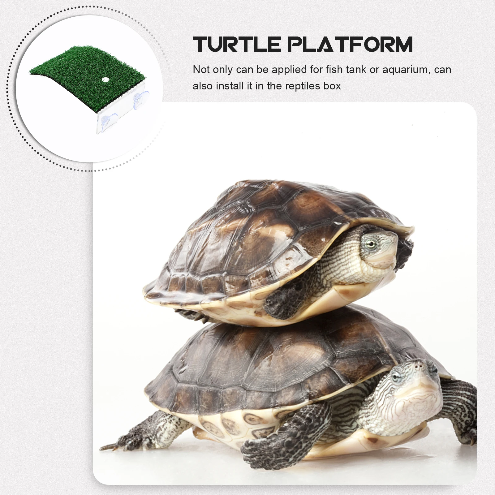 

2pcs Decorative Turtle Platforms Wear-Resistant Acrylic Basking Docks For Aquarium Reptile Playgrounds With Suction Cups