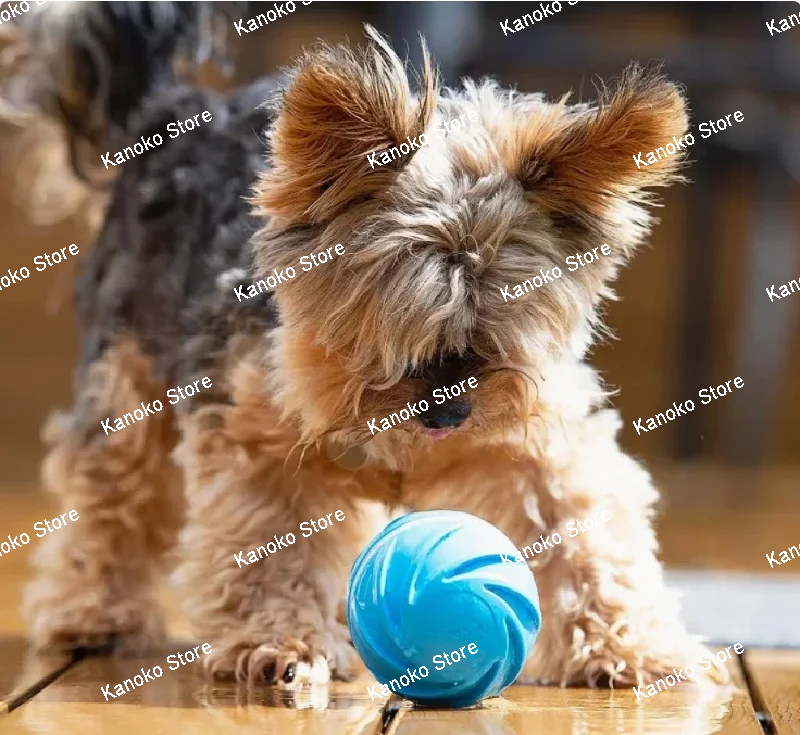 Smart Pet Toy Automatic Dog Ball ThCats' and Dogs' Best Interactive Toy