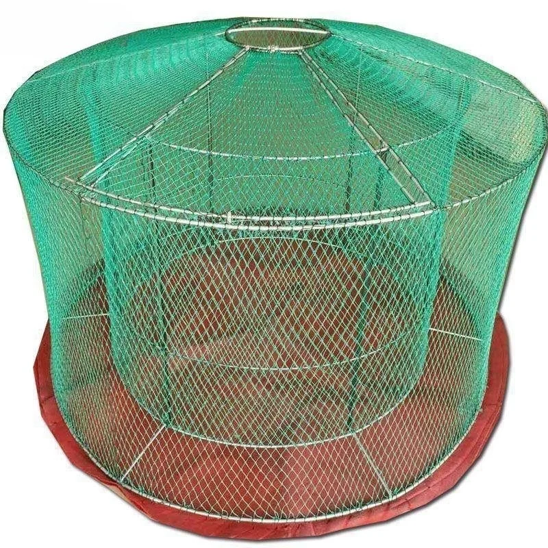 Cage Fight Chicken Fight Chicken Run Dragon Folding Training Folding Run