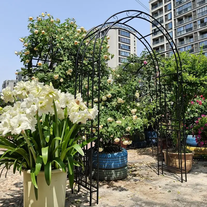 قوس حديقة معدني مقاس 59 بوصة × 17.7 بوصة × 90.6 بوصة يدعم نباتات التسلق قوس وردي خارجي أسود #4