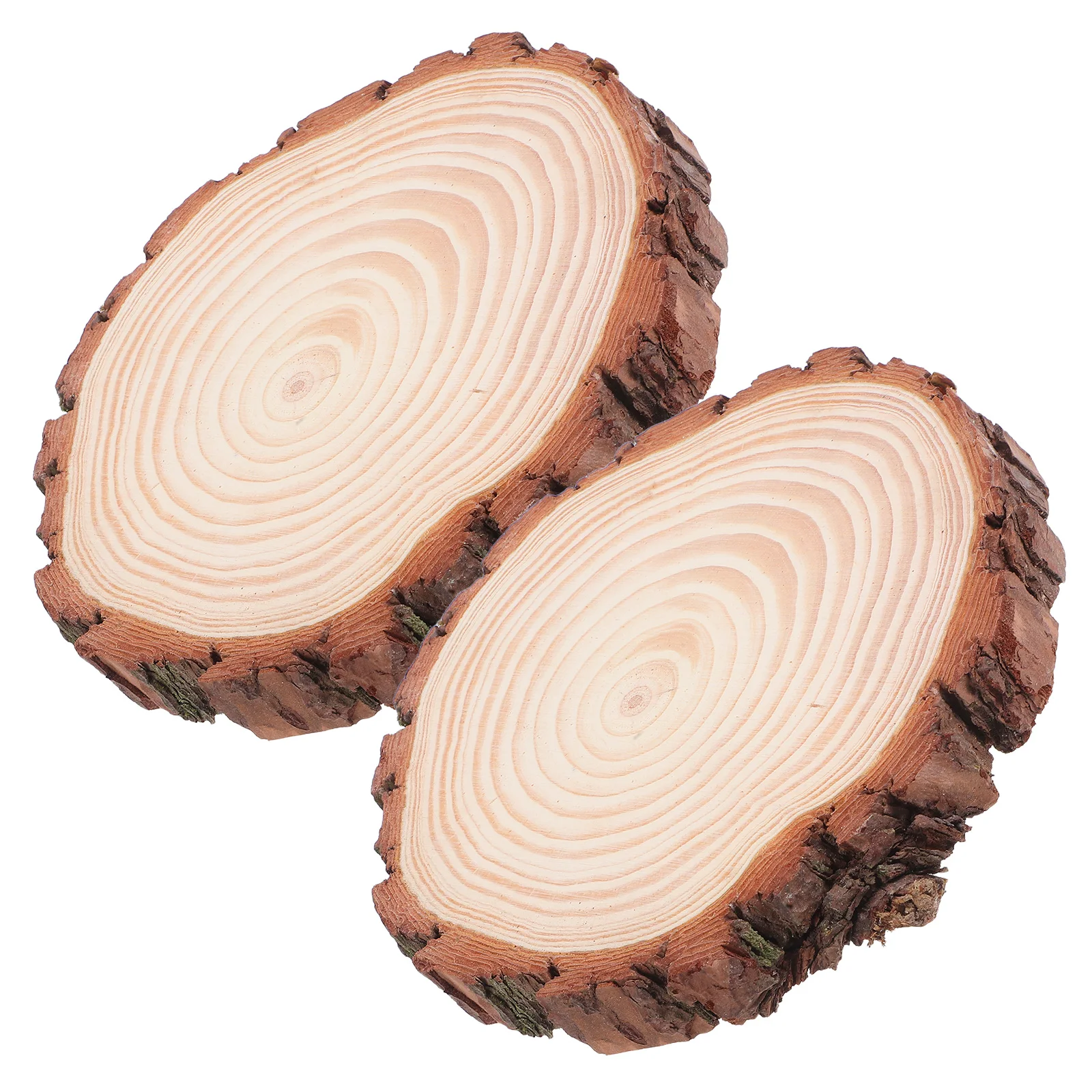 

2 Pcs Wooden Slices with Bark Log for Crafts Small Unfinished Natural Rounds Ornament Diy Chips