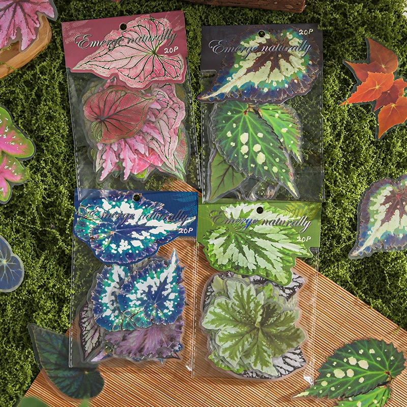20 個植物花葉 PET ステッカーパックハンドアカウントコラージュジャンクジャーナルプランナースクラップブッキング装飾文具ステッカー