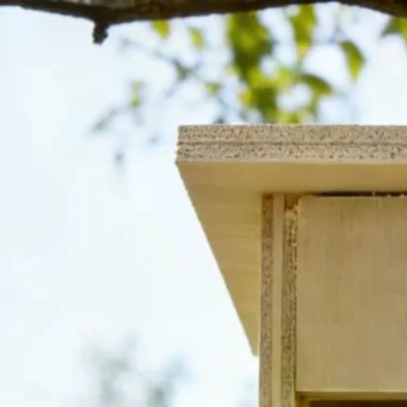 1 Pezzo Decorazione Casa delle Bambole, Mini Nido per Uccelli in Legno, Modello Pollaio, Accessori per Fotografia, Miniature per Casa delle Bambole