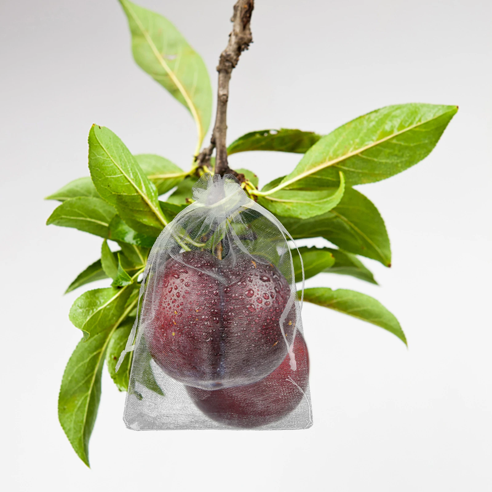 

50pcs Fruit Protection Bags 10x15cm 20x30cm 15x20cm 30x40cm White Mesh Drawstring Bird Proof Fly Proof Garden Netting for Trees