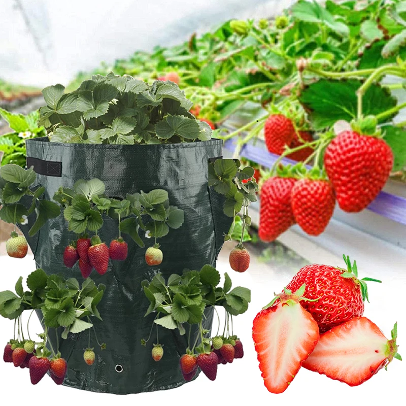 

4/6/8/10 Holes Wall Hanging Grow Bag Flower Vegetable Planting Pots Reusable Potato Tomato Growing Container Garden Nursery Bag