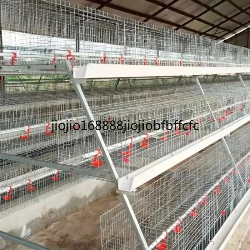 Suitable for new H-type poultry breeding equipment steel automatic cage