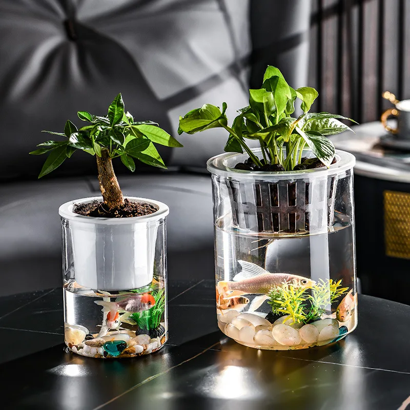 Creative Hydroponic Bottle Plants - Seedling Container Base for Shared Cultivation Tank - Water Culture Decorative Piece-Vessel