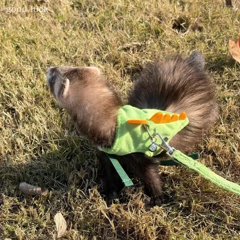 Cartoon Dinosaurus Ontwerp Verstelbare Kleine Huisdieren Trekkabel Slijtvaste Lichtgewicht Leash Outdoor Wandelen Huisdier Harnas Leash