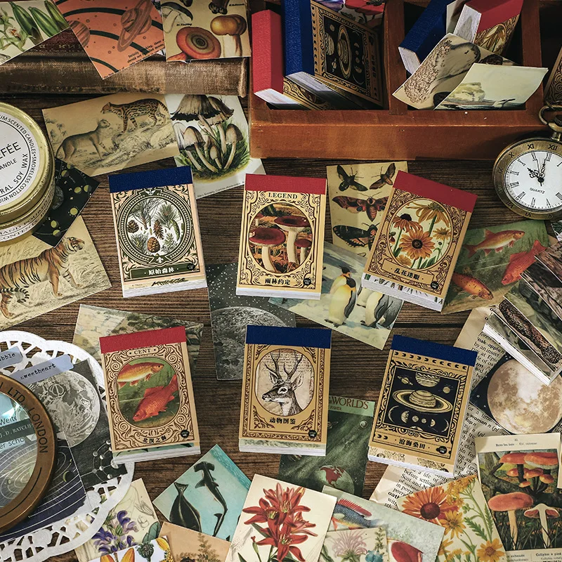 

50 pcs Washi Stickers Set For Journaling Scrapbook Paper Adhesive Decorative Stickers Aesthetic For Scrapbooking Diary Planner