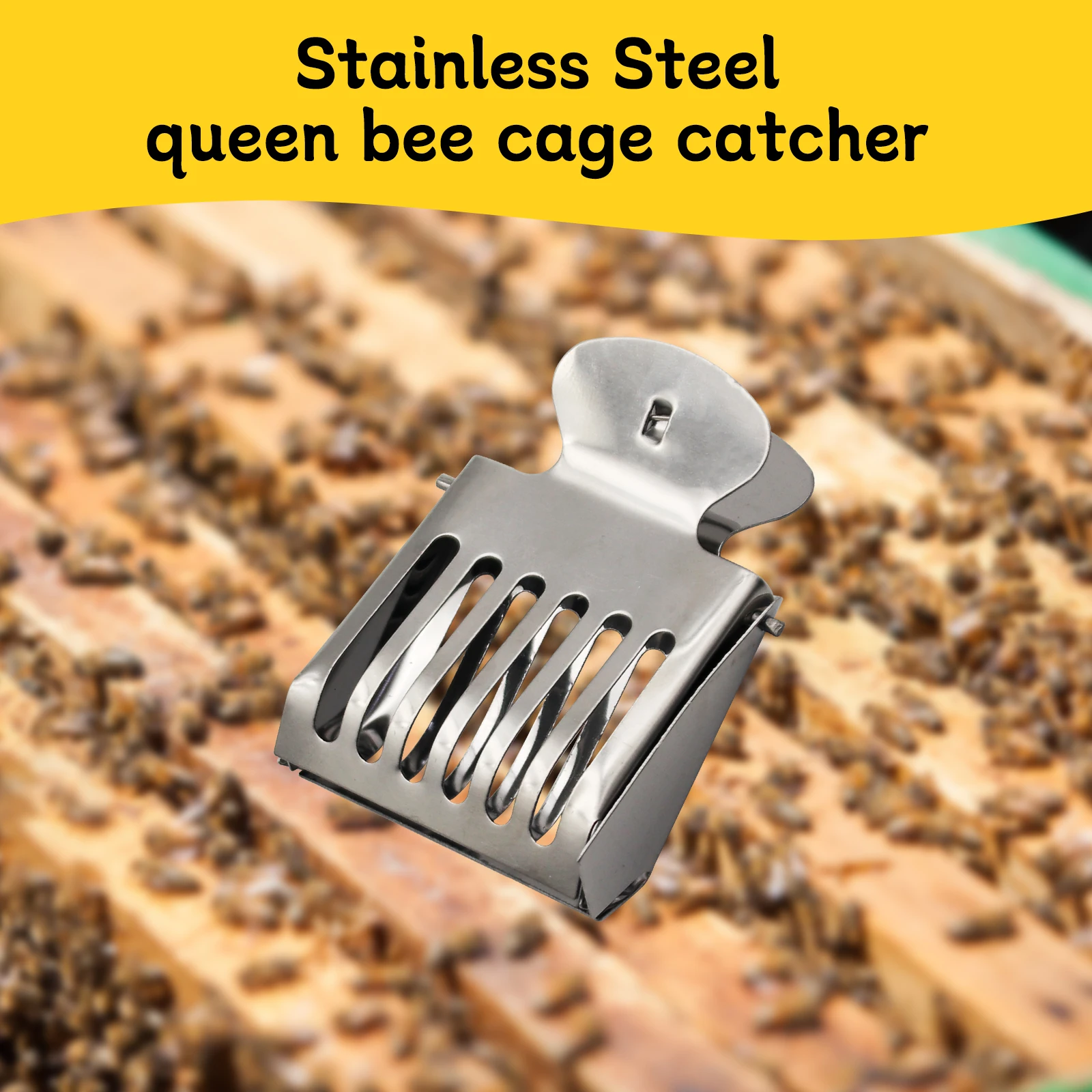 10pcs Bee Queen Cage Transparent Plastic Clip/Stainless Steel Clamp Cage Bee Catcher Box Beekeeping Equipments Beekeeper Equip