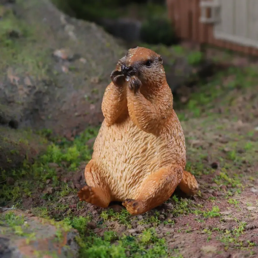 Realistic PVC Wild Animal Figurine Marmot Artificial Ornament Home Decoration Simulated Solid Groundhog Model Office