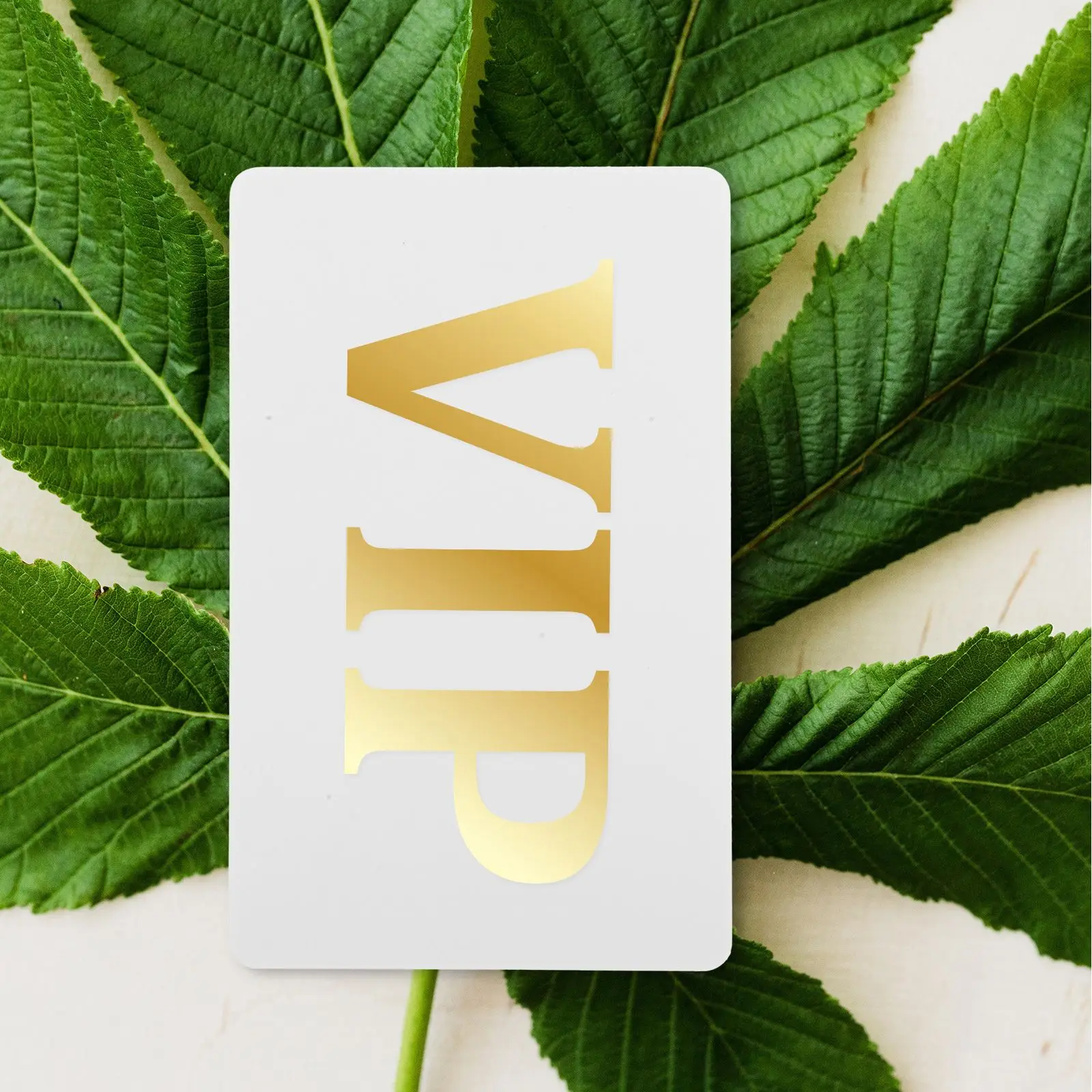 20 Pcs Blank White PVC Cards Double Sided Print Waterproof Coating Business Identification Plastic File Folder Labels Student