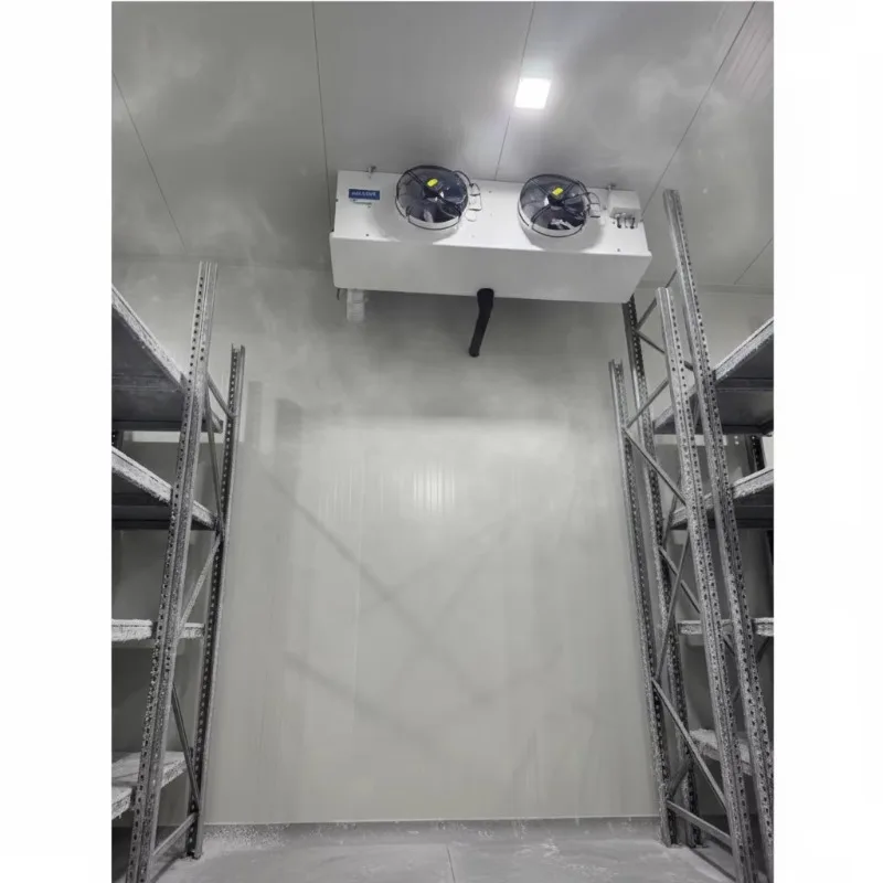 6m Length 28cbm 20ft Refrigerated Reefer Container Cold Room Copeland Compressor Gearbox Bearing Motor Digital Control Meat Fish