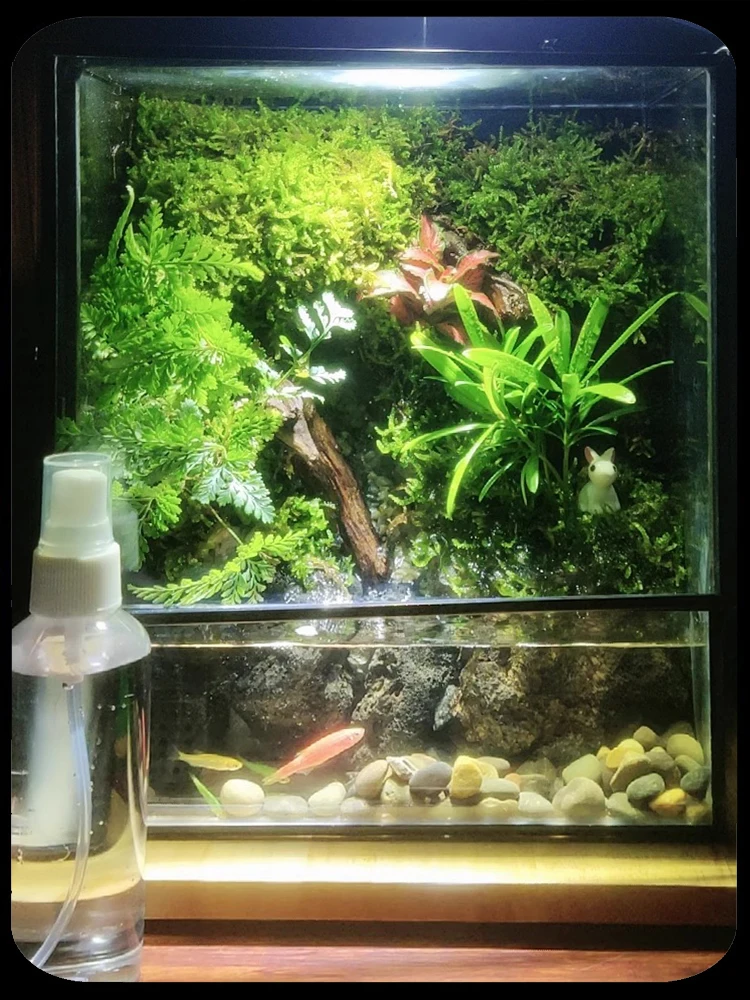 

Moss micro-landscape landscaping indoor desktop potted plants full set of rainforest tank finished fish tank ornament