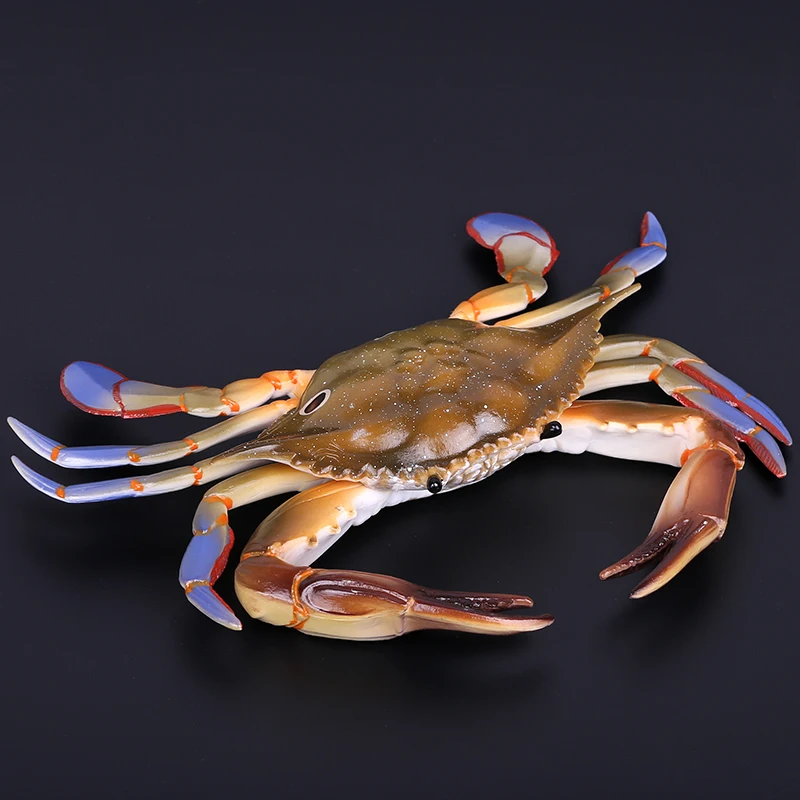 Simulation Plastic Marine Animal Toy Figures Nautilus,king Spider Hermit Crab Sea Life Animals Model Collection Toys