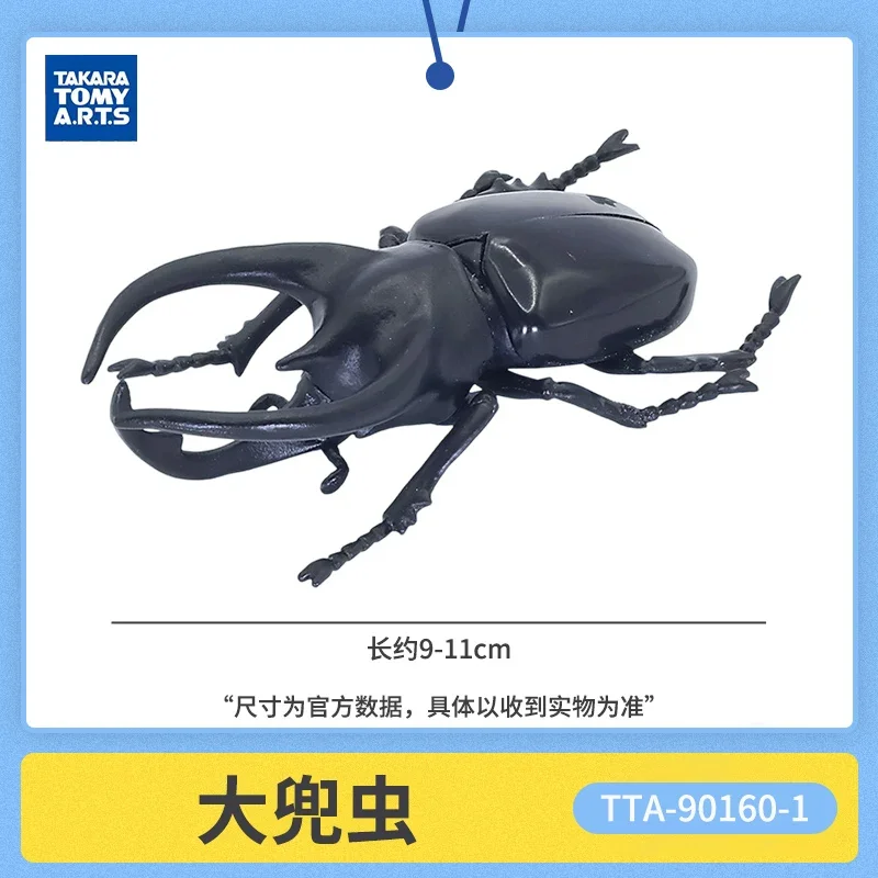 In Stock  BANDAI Gashapon  The Diversity of Life on  Dynastes hercules Mantodea Allotopus Model GACHA TOYS Big Biological Map Of