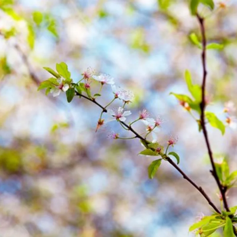 

12428 12423 Комплект обновленных аксессуаров Амортизаторы для Feiyue FY03 WLtoys 12428 12423 1/12 RC Багги Автозапчасти