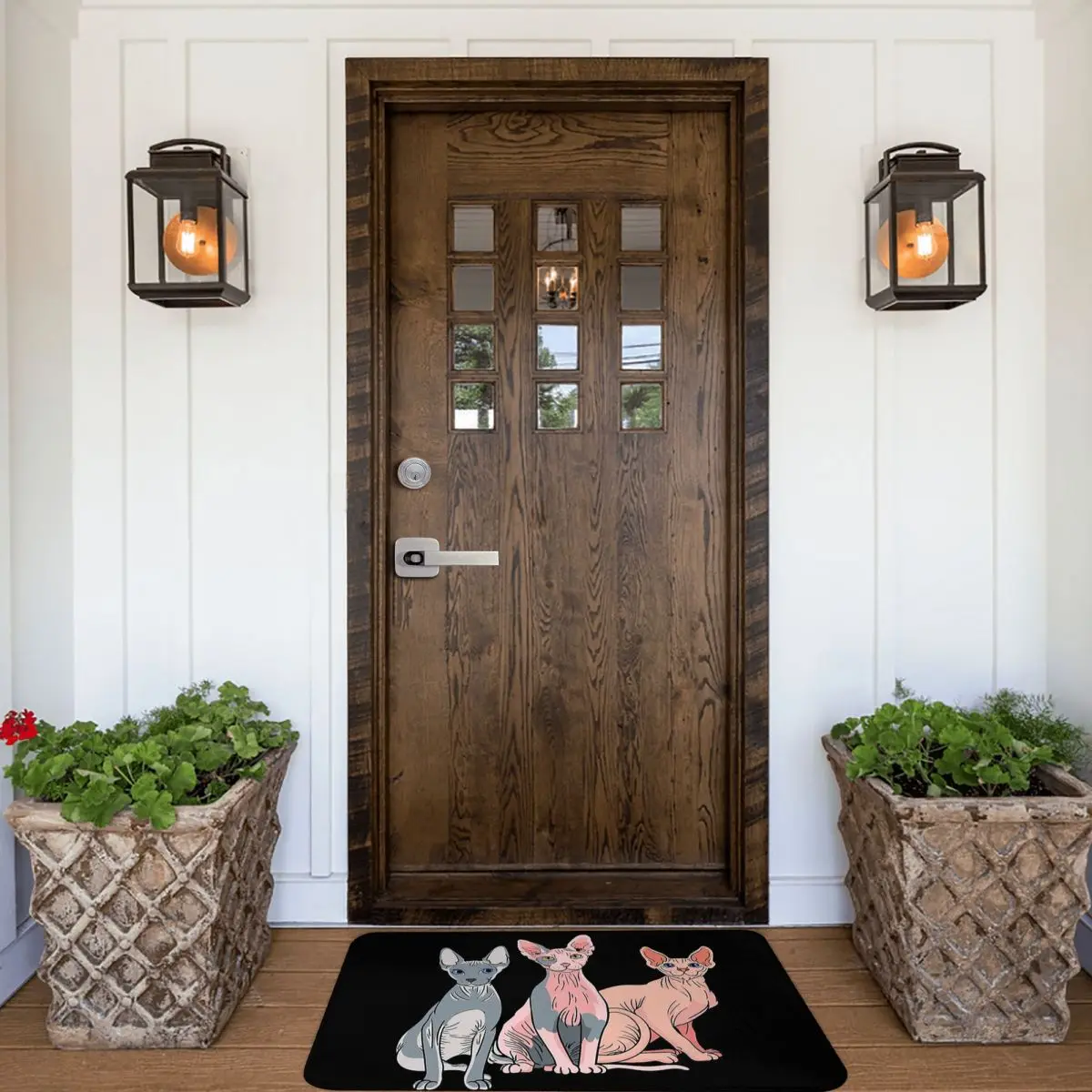 Sphynx Hairless Cat Bedroom Mat Sphynx Cat Celebrate Diversity Doormat Flannel Carpet Balcony Rug Home Decoration