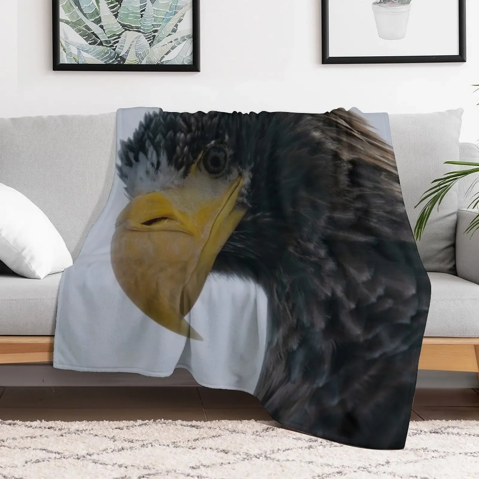 New Steller's Sea Eagle Throw Blanket wednesday Soft Plush Plaid Hairys Blankets