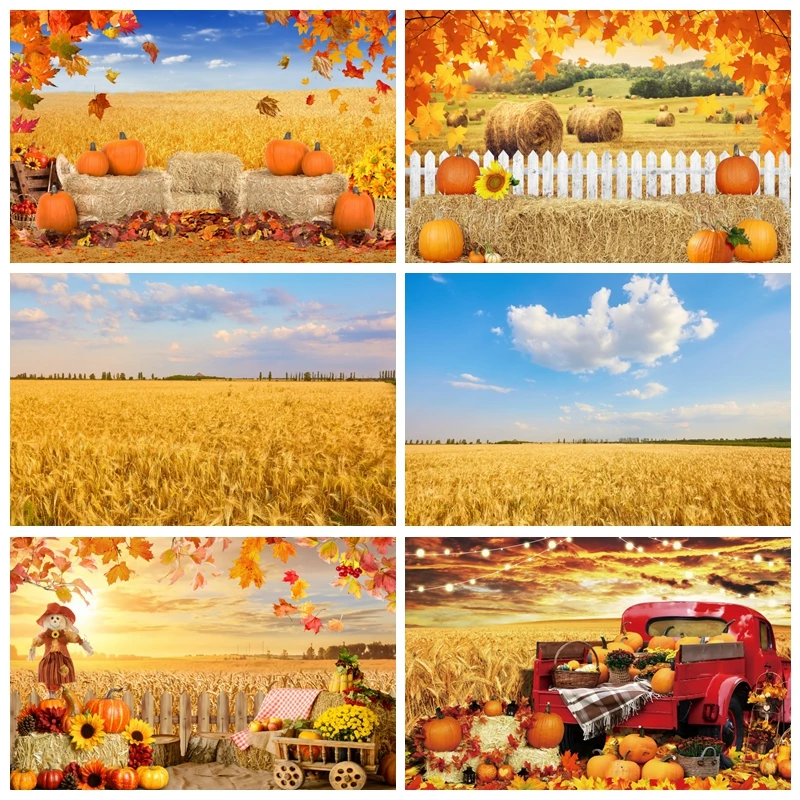 

Autumn Farm Harvest Photography Backdrop Cowboy Haystack Pumpkin Birthday Family Party Decor Background for Studio Photo Props