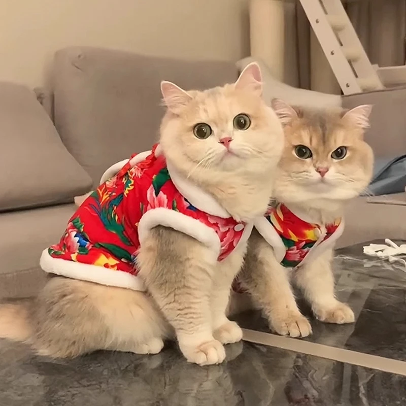 

Cat clothes Warm Cashmere Northeast Cotton-Padded Cat Jacket for Autumn Winter Kitten Small Dog Pet Clothes New Year Gift