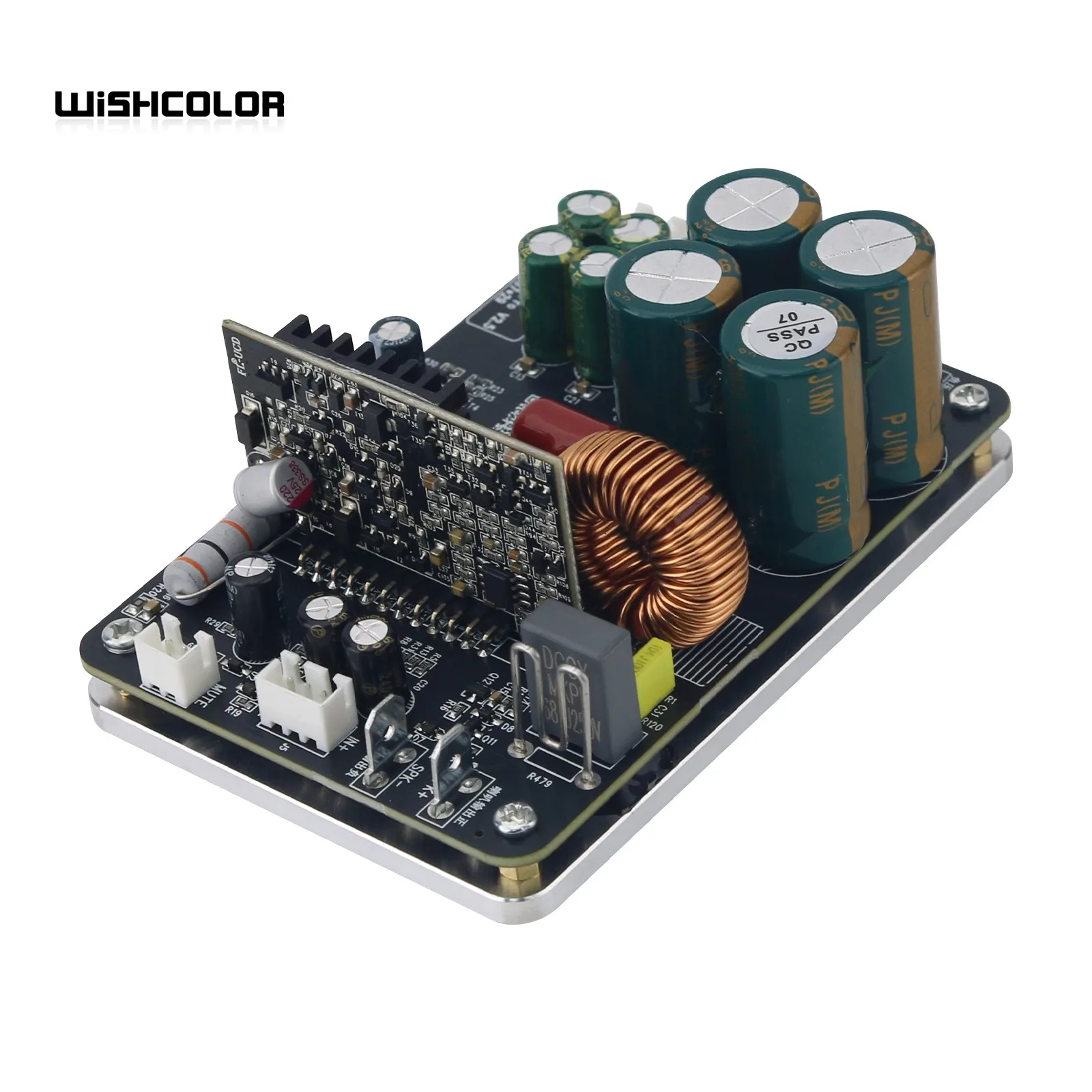 WishColor HiFi UCD700 Fully Discrete Power Amplifier Board 700W Digital Mono Class D Audio Amplifier Module