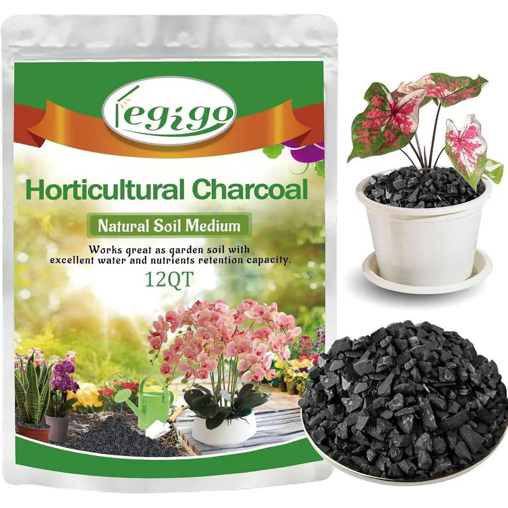 

All Natural Hardwood Plant Charcoal for Soil Conditioning, Bonsai, Succulents, Terrariums, and Indoor Plant Care